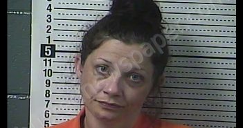 ALLISON N KENNEDY | 2020-07-02 02:40:00 Boyle County, Kentucky Booking