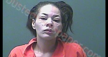 SABRINA A TOWNSEND | 2020-07-02 13:17:00 Laporte County, Indiana, La Porte County, Indiana Booking