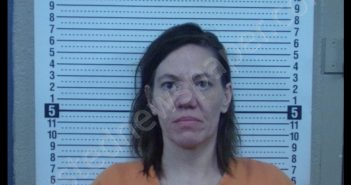 TIFFANY L ASHLEY | 2020-07-03 16:59:00 Scott County, Missouri Booking