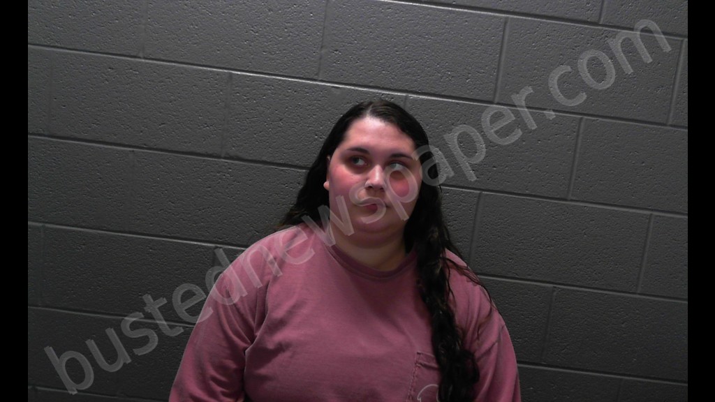 HYLTON, RAECHEL GARNETT #, Taylor County, West Virginia - 2020-07-03 21:15:00