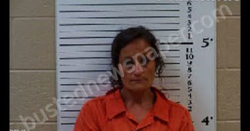 JENKINS, ERICA RAE | 2020-07-04 04:35:00 Cherokee County, North Carolina Booking