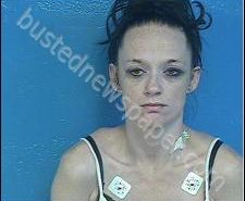 AMANDA TATE | 2020-07-04 02:20:00 Sullivan County, Tennessee Booking