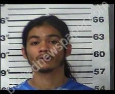 ANTONIO REYES | 2020-07-04 18:18:00 Gibson County, Tennessee Booking