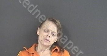 WILSON, TRACY RENEE | 2020-07-05 21:34:00 Roanoke County, Virginia Booking