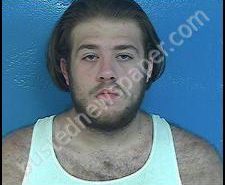 TROY THACKER | 2020-07-05 19:09:00 Sullivan County, Tennessee Booking