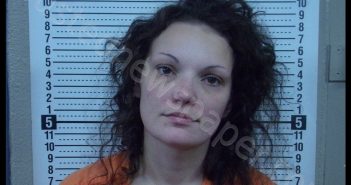 LACEY L CRAWFORD | 2020-07-05 07:33:00 Scott County, Missouri Booking