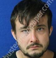 <B>BRANDON</B> <B>MANN</B> #, Dickson County, Tennessee - 2020-07-06 15:47:00