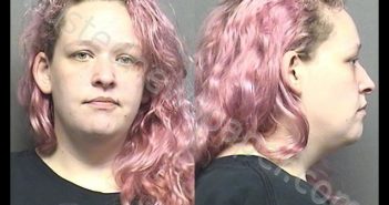 MEYER,JESSICA IRENE | 2020-07-06 16:25:00 Saline County, Kansas Booking