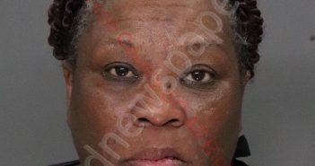 BRENDA GALE BROWNLEE | 2020-07-07 13:31:00 Anderson County, South Carolina Booking