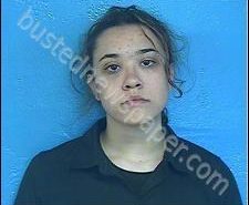 SYDNEY BOLDEN | 2020-07-07 15:45:00 Sullivan County, Tennessee Booking
