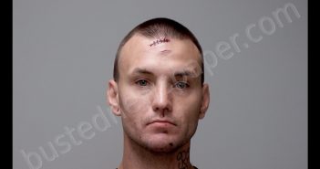 MICHAEL WALTER CARRINGTON | 2020-07-07 16:23:00 Gratiot County, Michigan Booking