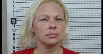 TAMRA L GREMARD | 2020-07-08 18:00:00 Scott County, Missouri Booking