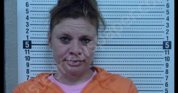NATASHA L WHITE | 2020-07-08 12:03:00 Scott County, Missouri Booking