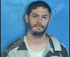 MATTHEW BOWMAN | 2020-07-08 12:42:00 Sullivan County, Tennessee Booking