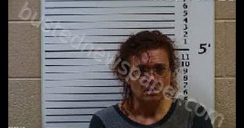 GRANT, ANGELICA MARIE | 2020-07-08 06:15:00 Cherokee County, North Carolina Booking
