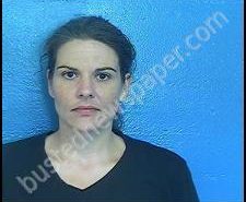 ELIZABETH WILSON | 2020-07-08 13:19:00 Sullivan County, Tennessee Booking