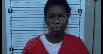 WHITNEY TANICHA RODGERS | 2020-07-10 14:11:00 Scott County, Missouri Booking