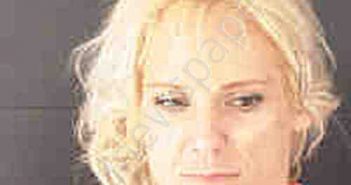 RYAN, SARA JEAN | 2020-07-10 Sarasota County, Florida Booking