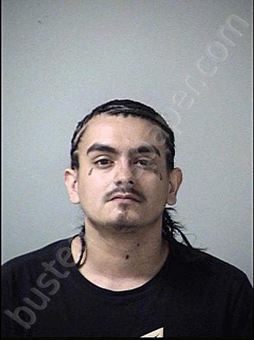 FLORES, LORENZO MANUEL #, Stephenson County, Illinois - 2020-07-10 04:09:00