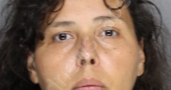 LOZANO, ROSEMARY ANNA | 2020-07-10 15:00:00 Ellis County, Texas Booking
