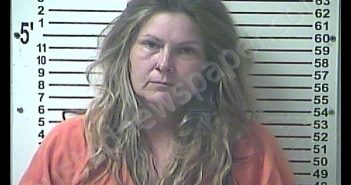 MICHELLE LEE KASEY | 2020-07-11 04:49:00 Hardin County, Kentucky Booking