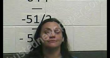 TRACY RENEE LLEWELLYN | 2020-07-11 01:32:00 Whitley County, Kentucky Booking