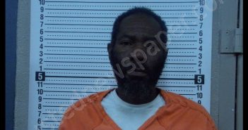 TERRY E WILSON | 2020-07-11 19:24:00 Scott County, Missouri Booking