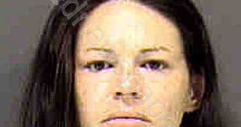 KING, DINA FAYE | 2020-07-11 Sarasota County, Florida Booking