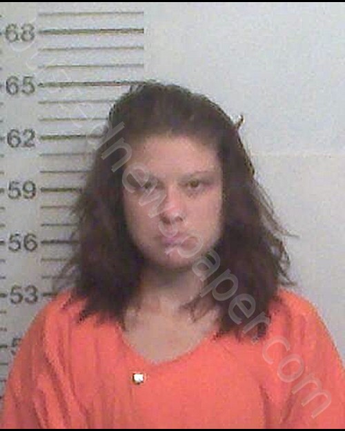 WILLIAMS, AMBER LYNN #, Hamilton County, Florida - 2020-07-11 13:43:00