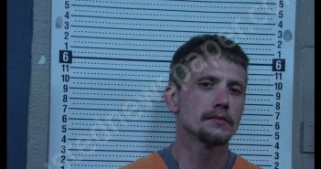 TIMOTHY W SEABAUGH | 2020-07-12 22:49:00 Scott County, Missouri Booking