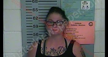 KRYSTAL D COOK | 2020-07-13 23:21:00 Union County, Kentucky Booking