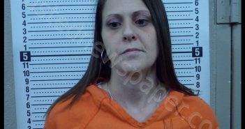 ASHLEY N ADKINS | 2020-07-14 12:06:00 Scott County, Missouri Booking