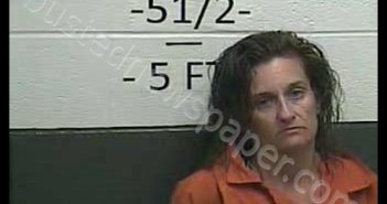 TINA E DAVIS | 2020-07-15 18:06:00 Whitley County, Kentucky Booking
