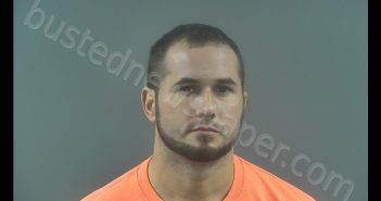 JAMES GARLAND MADISON | 2020-07-15 18:08:00 Warren County, Kentucky Booking
