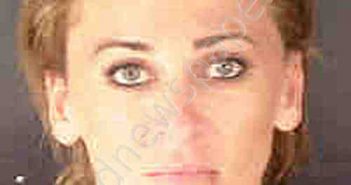 WILSON, MELANY MARIE | 2020-07-15 Sarasota County, Florida Booking