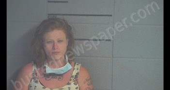 DELANA D DICKENS | 2020-07-15 15:24:00 Adair County, Kentucky Booking