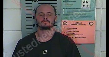 DANIEL EDWARD KING II | 2020-07-15 10:58:00 Union County, Kentucky Booking