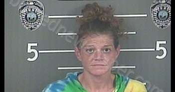 AMY BEVINS | 2020-07-16 16:03:00 Pike County, Kentucky Booking