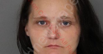 ELIZABETH LYNN WERTS | 2020-07-16 09:21:00 Anderson County, South Carolina Booking