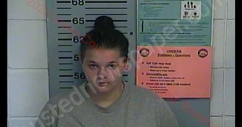 CAITLIN A BERRY | 2020-07-16 16:47:00 Union County, Kentucky Booking