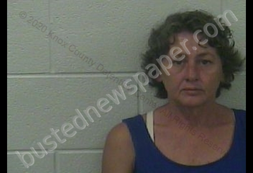 CINDY LOVITT #, Knox County, Kentucky - 2020-07-17 21:44:00