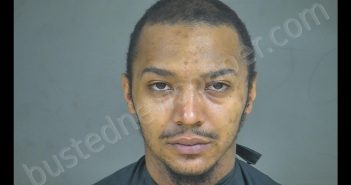 ISAIAH <B>STEPHON</B> RAMIREZ #, Halifax County, Virginia - 2020-07-18 22:35:00