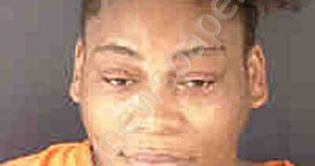 NEWSOME, JACQUELYN DENISE | 2020-07-18 Sarasota County, Florida Booking