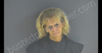 MIRIAM SHARPE BURNETTE | 2020-07-19 14:05:00 Bedford County, Virginia Booking