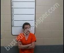 ALYSSA BRACKINS | 2020-07-20 00:20:00 Morgan County, Tennessee Booking