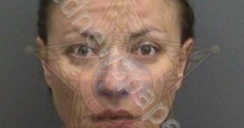 SOKOLOVA,OLGA | 2020-07-21 00:50:00 Hillsborough County, Florida Booking