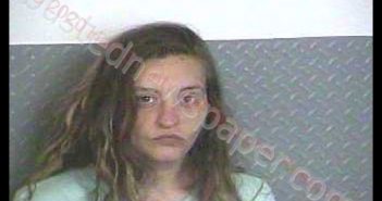 ASHLEY D WEST | 2020-07-21 00:17:00 Hart County, Kentucky Booking