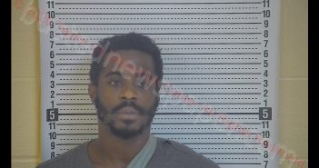 LESLIE C FRAZIER | 2020-07-21 14:53:00 Taylor County, Kentucky Booking