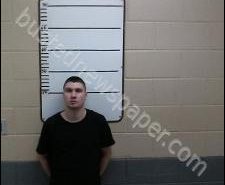 REECE LAUER | 2020-07-21 16:17:00 Morgan County, Tennessee Booking