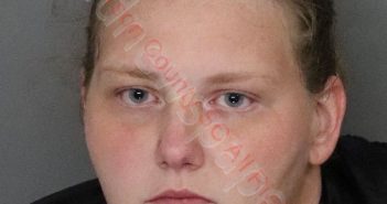 CHESNEY REBECCA WREN LELL | 2020-07-21 03:18:00 Anderson County, South Carolina Booking